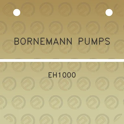 bornemann-pumps-eh1000