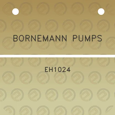 bornemann-pumps-eh1024