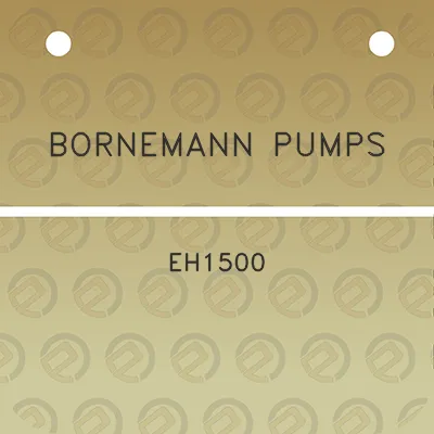 bornemann-pumps-eh1500