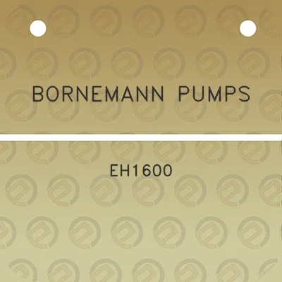 bornemann-pumps-eh1600