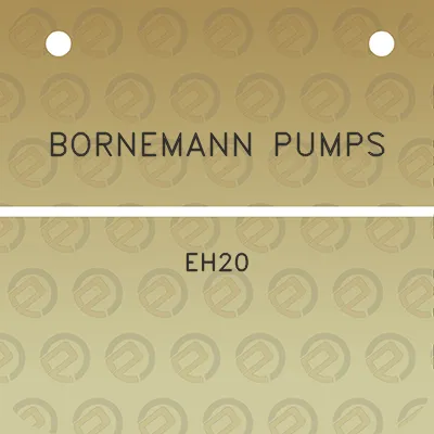 bornemann-pumps-eh20