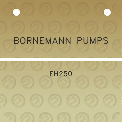 bornemann-pumps-eh250