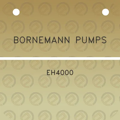 bornemann-pumps-eh4000