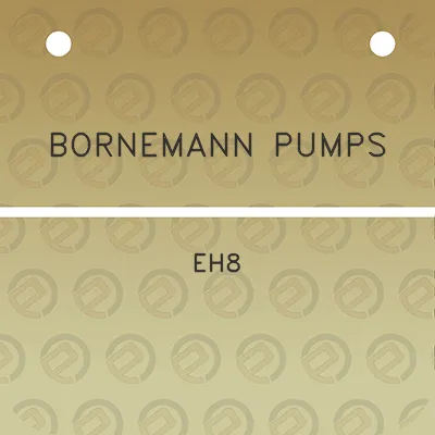 bornemann-pumps-eh8