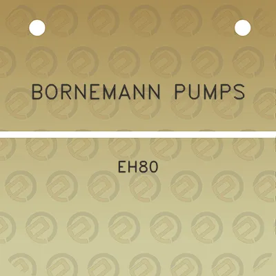 bornemann-pumps-eh80