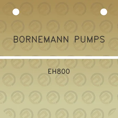 bornemann-pumps-eh800