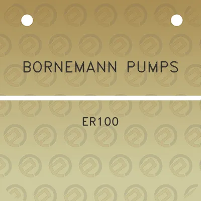 bornemann-pumps-er100