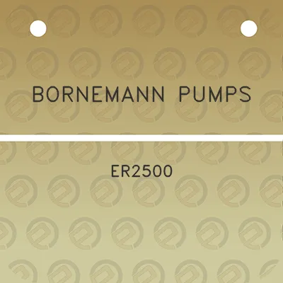 bornemann-pumps-er2500