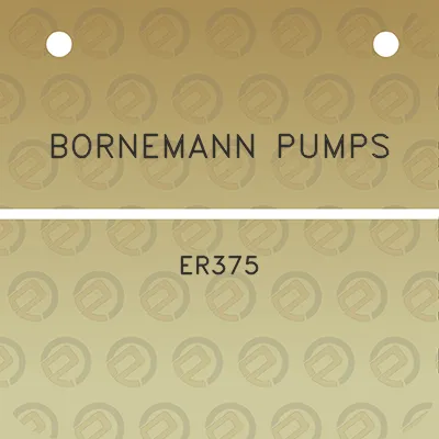 bornemann-pumps-er375