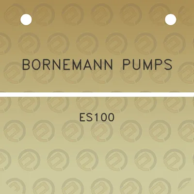 bornemann-pumps-es100