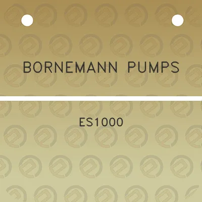 bornemann-pumps-es1000