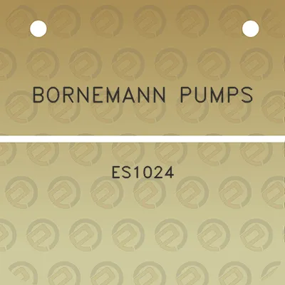 bornemann-pumps-es1024