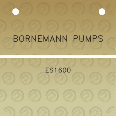 bornemann-pumps-es1600