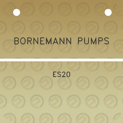 bornemann-pumps-es20