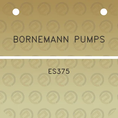 bornemann-pumps-es375