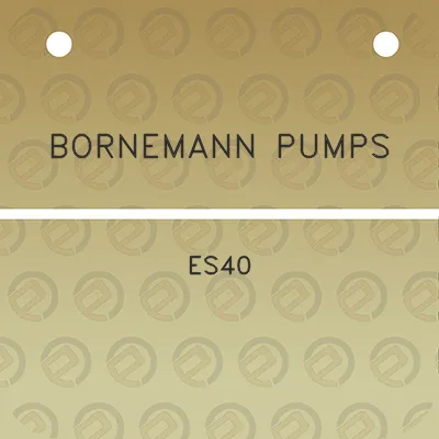 bornemann-pumps-es40