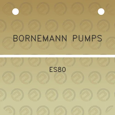 bornemann-pumps-es80