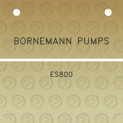 bornemann-pumps-es800