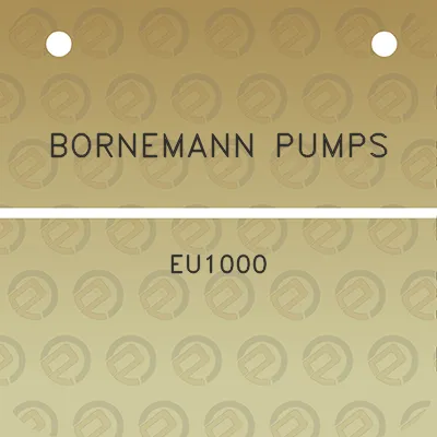 bornemann-pumps-eu1000