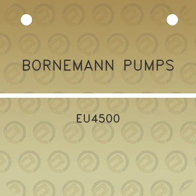 bornemann-pumps-eu4500