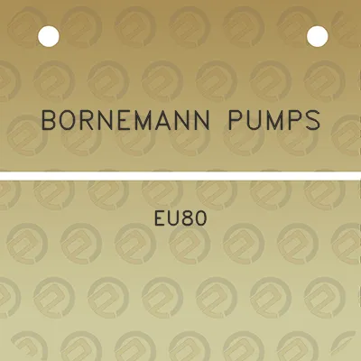 bornemann-pumps-eu80