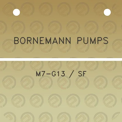 bornemann-pumps-m7-g13-sf