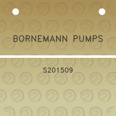 bornemann-pumps-s201509