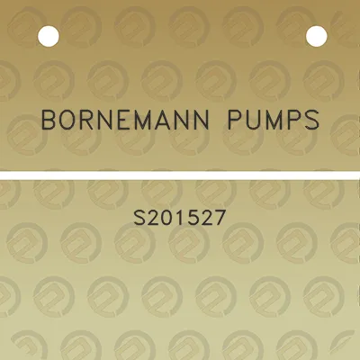 bornemann-pumps-s201527