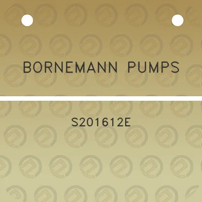 bornemann-pumps-s201612e