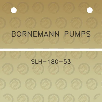 bornemann-pumps-slh-180-53