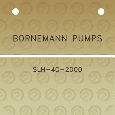 bornemann-pumps-slh-4g-2000