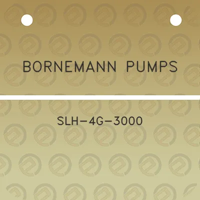 bornemann-pumps-slh-4g-3000