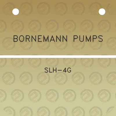 bornemann-pumps-slh-4g