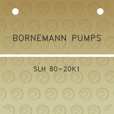 bornemann-pumps-slh-80-20k1