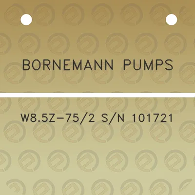 bornemann-pumps-w85z-752-sn-101721