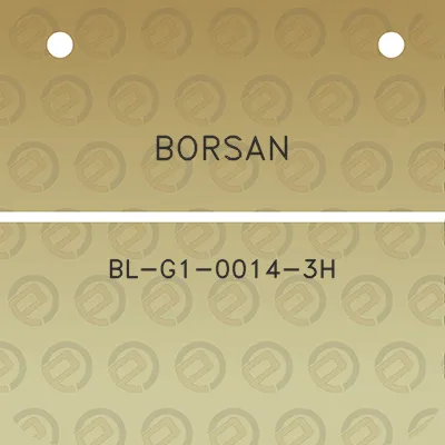 borsan-bl-g1-0014-3h