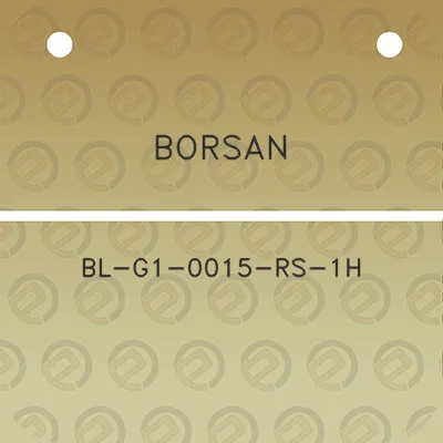 borsan-bl-g1-0015-rs-1h