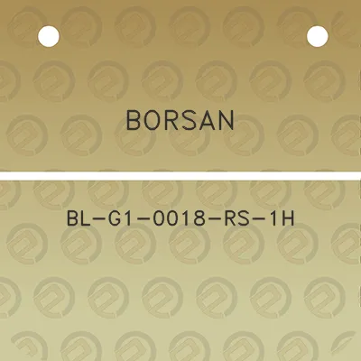 borsan-bl-g1-0018-rs-1h