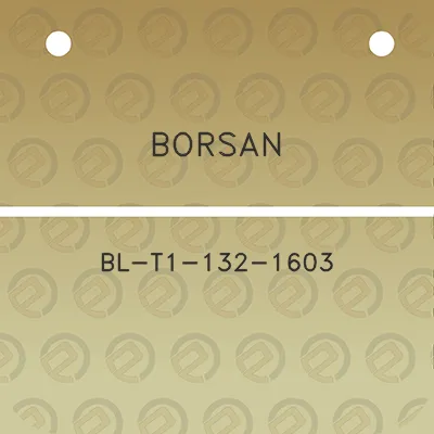 borsan-bl-t1-132-1603