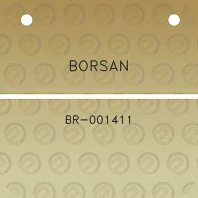 borsan-br-001411