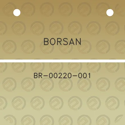 borsan-br-00220-001