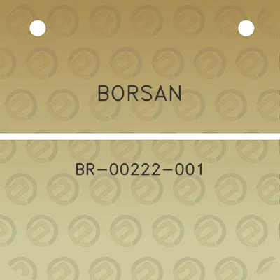 borsan-br-00222-001