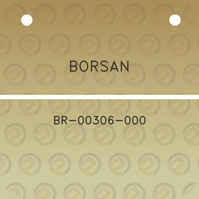 borsan-br-00306-000