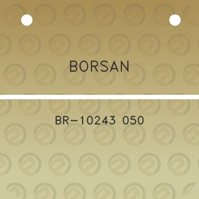 borsan-br-10243-050