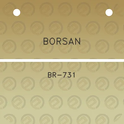 borsan-br-731