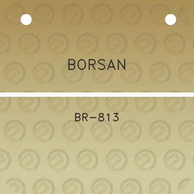 borsan-br-813