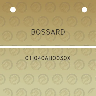 bossard-01i040aho030x