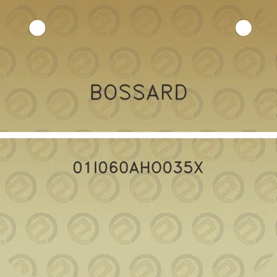 bossard-01i060aho035x