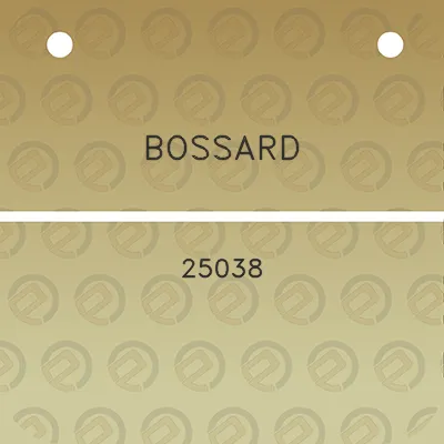 bossard-25038