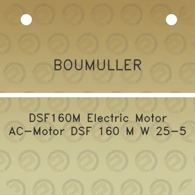 boumuller-dsf160m-electric-motor-ac-motor-dsf-160-m-w-25-5